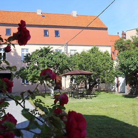 Apartamenty W Sercu Chelmna Chełmno 外观 照片
